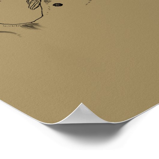 Aquarius Constellation Map von Hevelius Poster (Ecke)