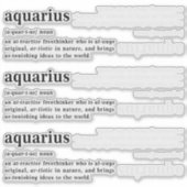 Aquarius Definition Ästhetik Astrologie Geschenk Aufkleber (Vorderseite)