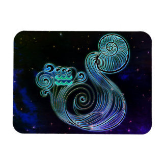 Aquarius der zodiaktische Wasserträger-Magnet Magnet