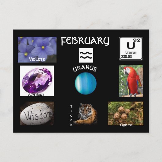 Aquarius february Birth Monat Postkarte (Vorderseite)