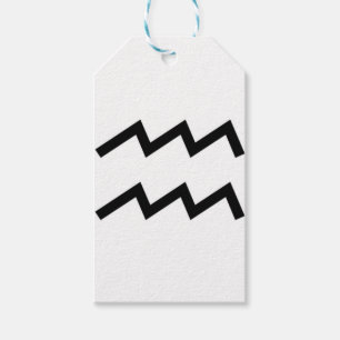 Aquarius Geschenkanhänger