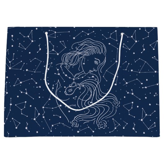 Aquarius Große Geschenktüte (Vorderseite)