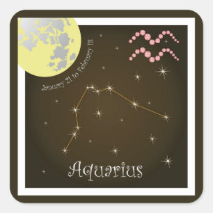 Aquarius January 21 to February 18 Aufkleber