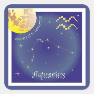 Aquarius January 21 to February 18 Aufkleber