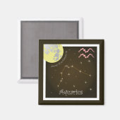 Aquarius January 21 to February 18 Magnet (Vorderseite/Rückseite)