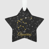Aquarius-Konstellation Ornament (Vorderseite)
