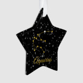 Aquarius-Konstellation Ornament (Vorderseite)