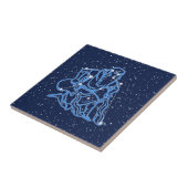 Aquarius Konstellation und Sonnensigne mit Sternen Fliese (Seite)