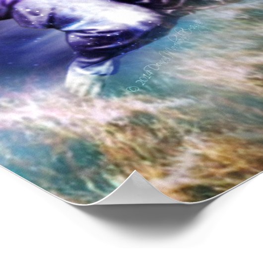 Aquarius-Merkmale Poster (Ecke)