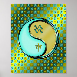 Aquarius & Metal Poster