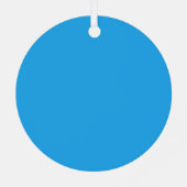 Aquarius Ornament Aus Metall (Rückseite)