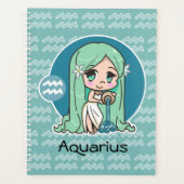 Aquarius Planer (Vorderseite)
