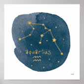 Aquarius Poster (Vorne)