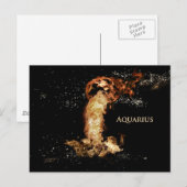 Aquarius Postkarte (Vorne/Hinten)