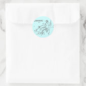 Aquarius Stickr Runder Aufkleber (Tasche)