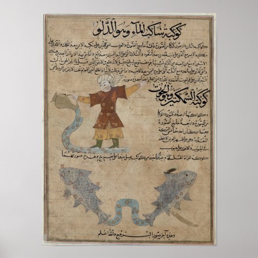 Aquarius und Fische Poster (Vorne)