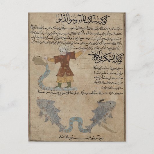 Aquarius und Fische Postkarte (Vorderseite)