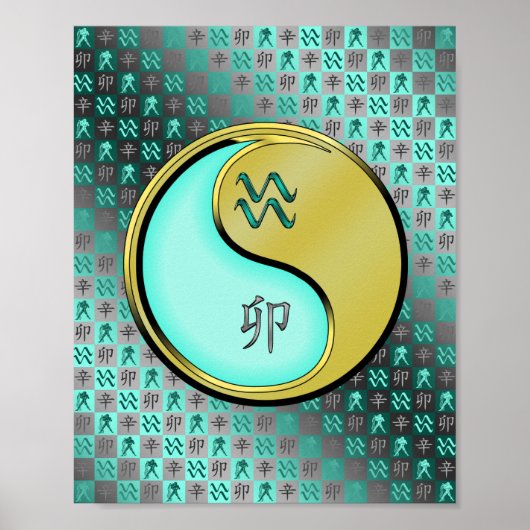 Aquarius und Metallkaninchen Poster (Vorne)