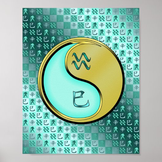 Aquarius und Metallschlange Poster (Vorne)