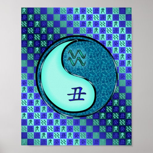 Aquarius & Water Ox Poster (Vorne)