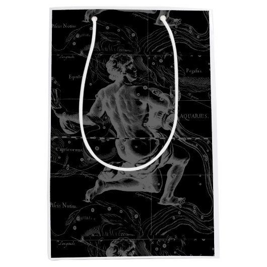 Aquarius Zodiac Constellation Gravur Hevelius Mittlere Geschenktüte (Vorderseite)