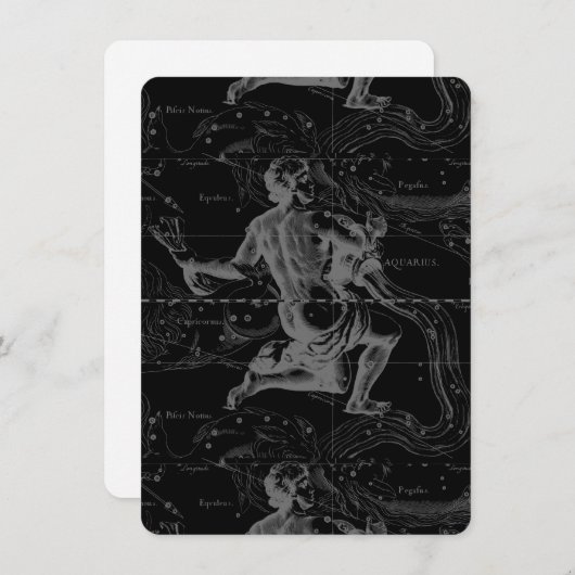 Aquarius Zodiac Constellation Hevelius 1690 (Vorne/Hinten)