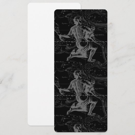 Aquarius Zodiac Constellation Hevelius 1690 (Vorne/Hinten)