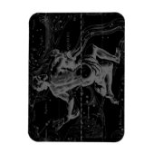 Aquarius Zodiac Constellation Hevelius 1690 Magnet (Vertikal)