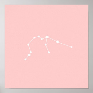 Aquarius Zodiac Constellation Modernes Rosa Poster