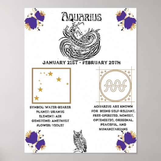 Aquarius Zodiac Poster (Vorne)