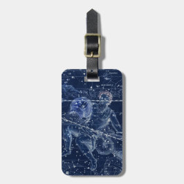 Aquarius Zodiac Signierung Vintage Illustration Gepäckanhänger