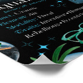 Aquarius Zodiac Star Sign Y2K Black Poster (Ecke)