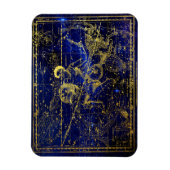 Aquariuskonstellationsmagnet Magnet (Vertikal)