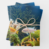 Aquascape Geschenkpapier Set (Beispiel)