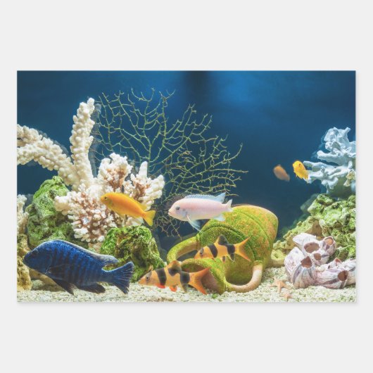 Aquascape Geschenkpapier Set (Vorderseite)