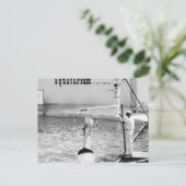 Aquatarium St. Pete Beach Florida, Dolphin Postkarte (Stehend Vorderseite)