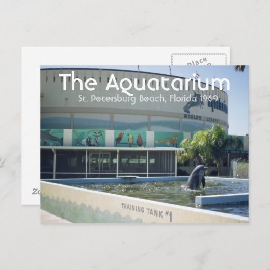 Aquatarium St. Pete Beach Florida Postkarte (Vorne/Hinten)