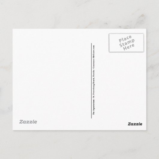 Aquatarium St. Pete Beach Florida Postkarte (Rückseite)