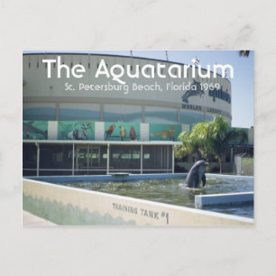 Aquatarium St. Pete Beach Florida Postkarte