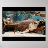 Aquatic Dino Poster (Vorne)