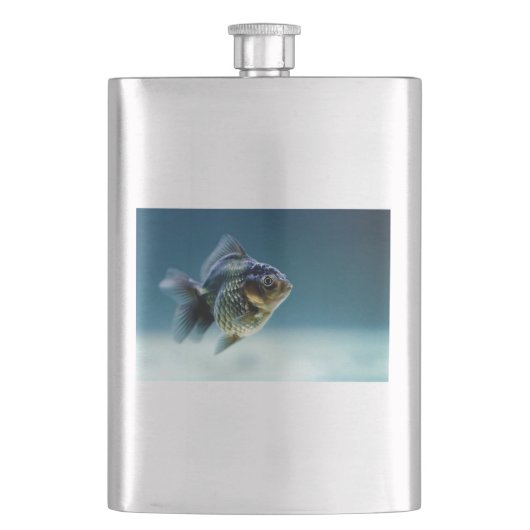 Aquatic Fish Carassius Flachmann (Vorderseite)