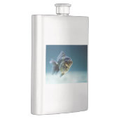 Aquatic Fish Carassius Flachmann (Rechts)