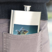 Aquatic Fish Carassius Flachmann (Beispiel)