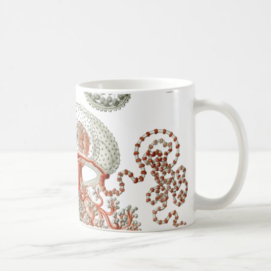 Aquatic Life Haeckel Jellyfish Tasse (Rechts)
