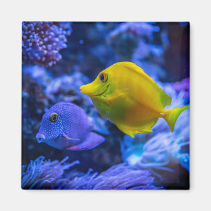 Aquatic Nautical Fotos Meerestierfotografie Magnet