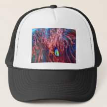 Aquatic Nautical Fotos Meerestierfotografie