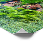 Aquatische Pflanze in Lincoln Park III - Farbsamat Poster (Ecke)