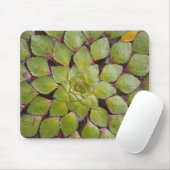 Aquatische Pflanze Rupununi, Guyana. Mousepad (Mit Mouse)