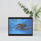 Aquawoman von Barry Kulick Postkarte (Stehend Vorderseite)