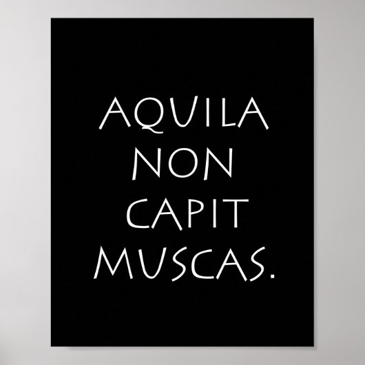 Aquila non capit muscas poster (Vorne)